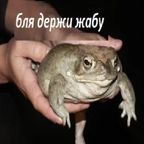 Стикер 19 из набора Держи ДЖАБУ