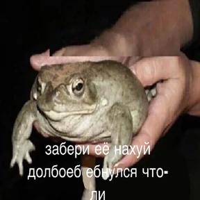 Стикер 22 из набора Держи ДЖАБУ