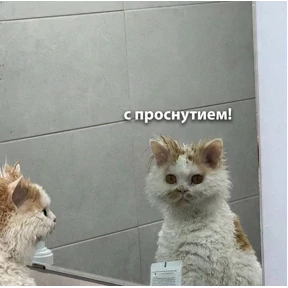 Стикер 6 из набора Для важных разговоров