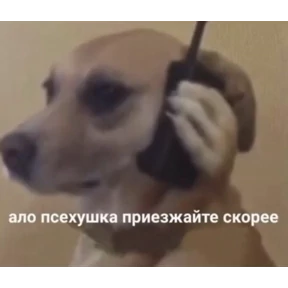 Стикер 11 из набора Для важных разговоров