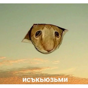 Стикер 16 из набора Для важных разговоров