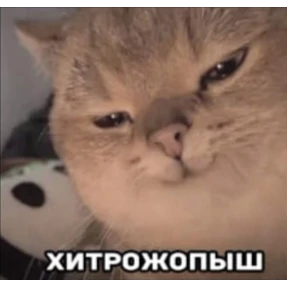 Стикер 20 из набора Для важных разговоров