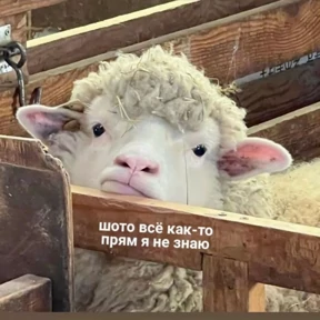 Стикер 21 из набора Для важных разговоров