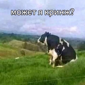Стикер 23 из набора Для важных разговоров