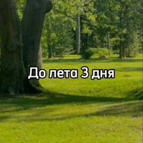 Обложка набора До лета