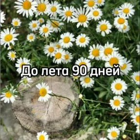 Стикер 5 из набора До лета