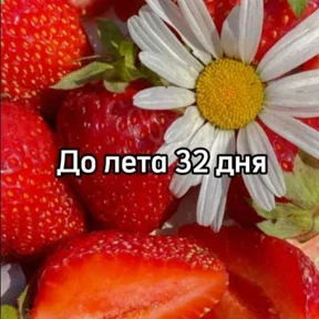 Стикер 14 из набора До лета