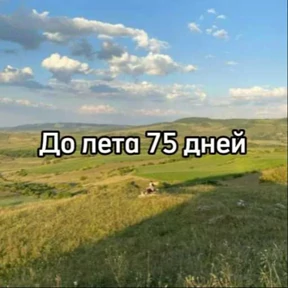 Стикер 6 из набора До лета