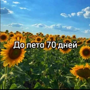 Стикер 17 из набора До лета