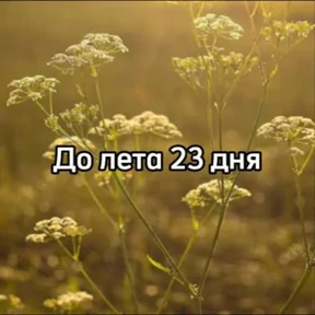 Стикер 20 из набора До лета