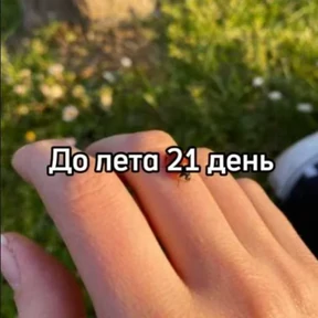 Стикер 21 из набора До лета