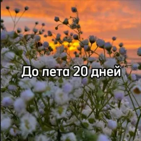 Стикер 24 из набора До лета