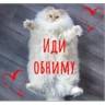 Обложка набора Досик