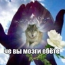 Обложка набора Егорик