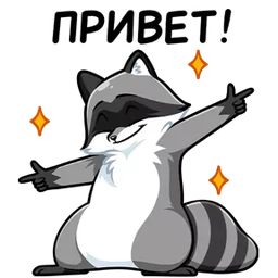 Стикер 19 из набора Енот