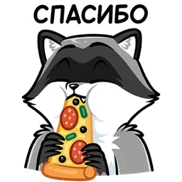 Стикер 21 из набора Енот