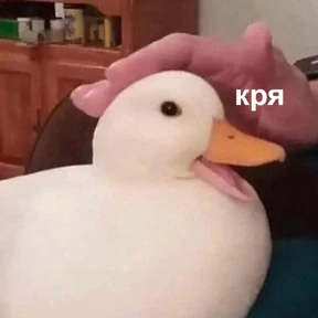 Стикер из набора Это конец - Мемы
