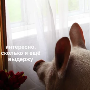 Стикер из набора Это конец - Мемы