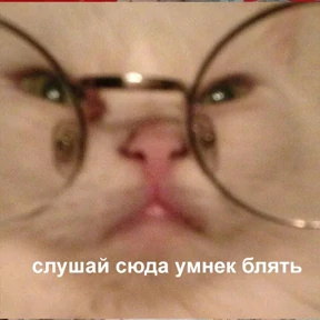 Стикер 6 из набора Это конец - Мемы