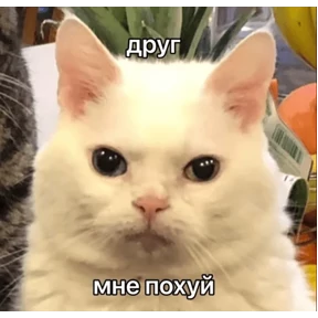 Стикер 9 из набора Это конец - Мемы