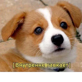Стикер 10 из набора Это конец - Мемы