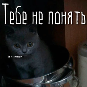 Стикер 14 из набора Это конец - Мемы