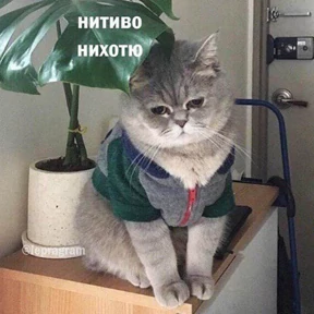 Стикер 15 из набора Это конец - Мемы