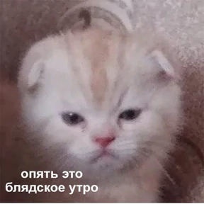 Стикер 16 из набора Это конец - Мемы
