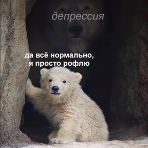 Стикер 17 из набора Это конец - Мемы