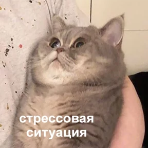 Стикер 19 из набора Это конец - Мемы