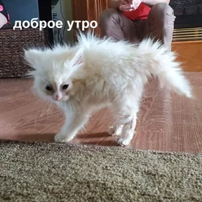 Стикер 20 из набора Это конец - Мемы