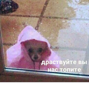 Стикер 23 из набора Это конец - Мемы
