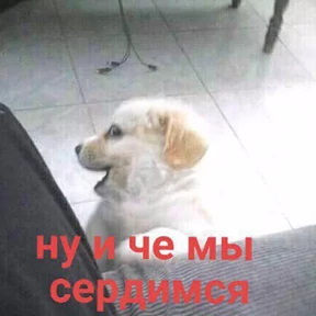 Стикер 28 из набора Это конец - Мемы