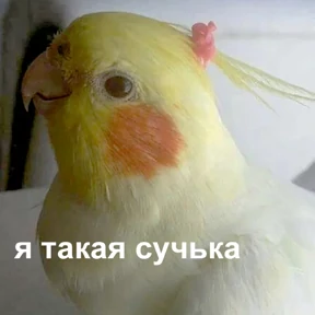 Стикер 29 из набора Это конец - Мемы