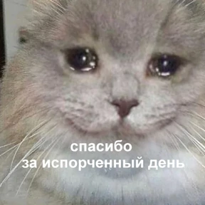 Стикер 35 из набора Это конец - Мемы