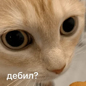 Стикер 36 из набора Это конец - Мемы