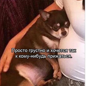 Стикер 44 из набора Это конец - Мемы