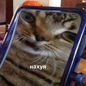 Стикер 46 из набора Это конец - Мемы