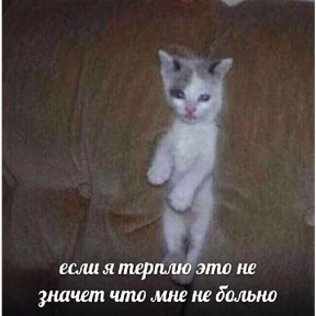 Стикер 47 из набора Это конец - Мемы