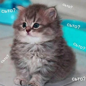 Стикер 50 из набора Это конец - Мемы