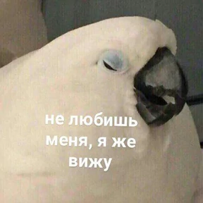 Стикер 56 из набора Это конец - Мемы