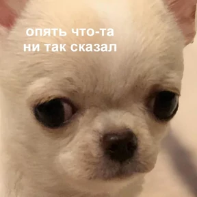 Стикер 57 из набора Это конец - Мемы