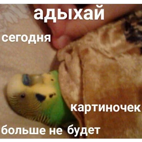 Стикер 59 из набора Это конец - Мемы