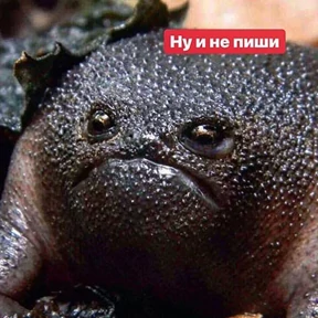 Стикер 61 из набора Это конец - Мемы