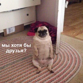 Стикер 65 из набора Это конец - Мемы