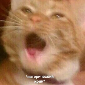 Стикер 66 из набора Это конец - Мемы