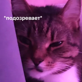 Стикер 74 из набора Это конец - Мемы