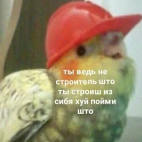 Стикер 78 из набора Это конец - Мемы