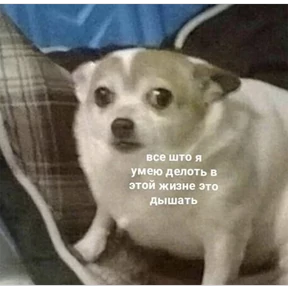 Стикер 79 из набора Это конец - Мемы
