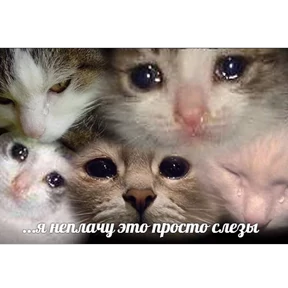 Стикер 81 из набора Это конец - Мемы